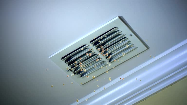 Best Ductwork Cleaning Services  in Concordia, MO